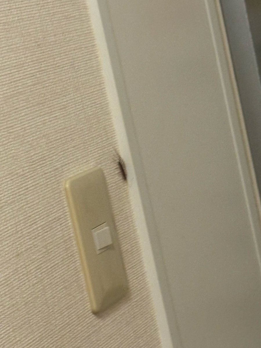 えるるん日常 tweet media