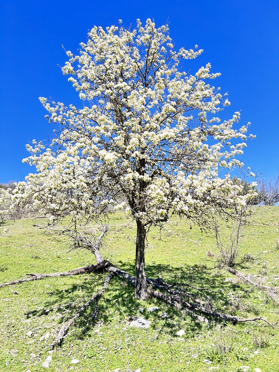 Κωστης ο μαναφουκομαγνητης tweet media