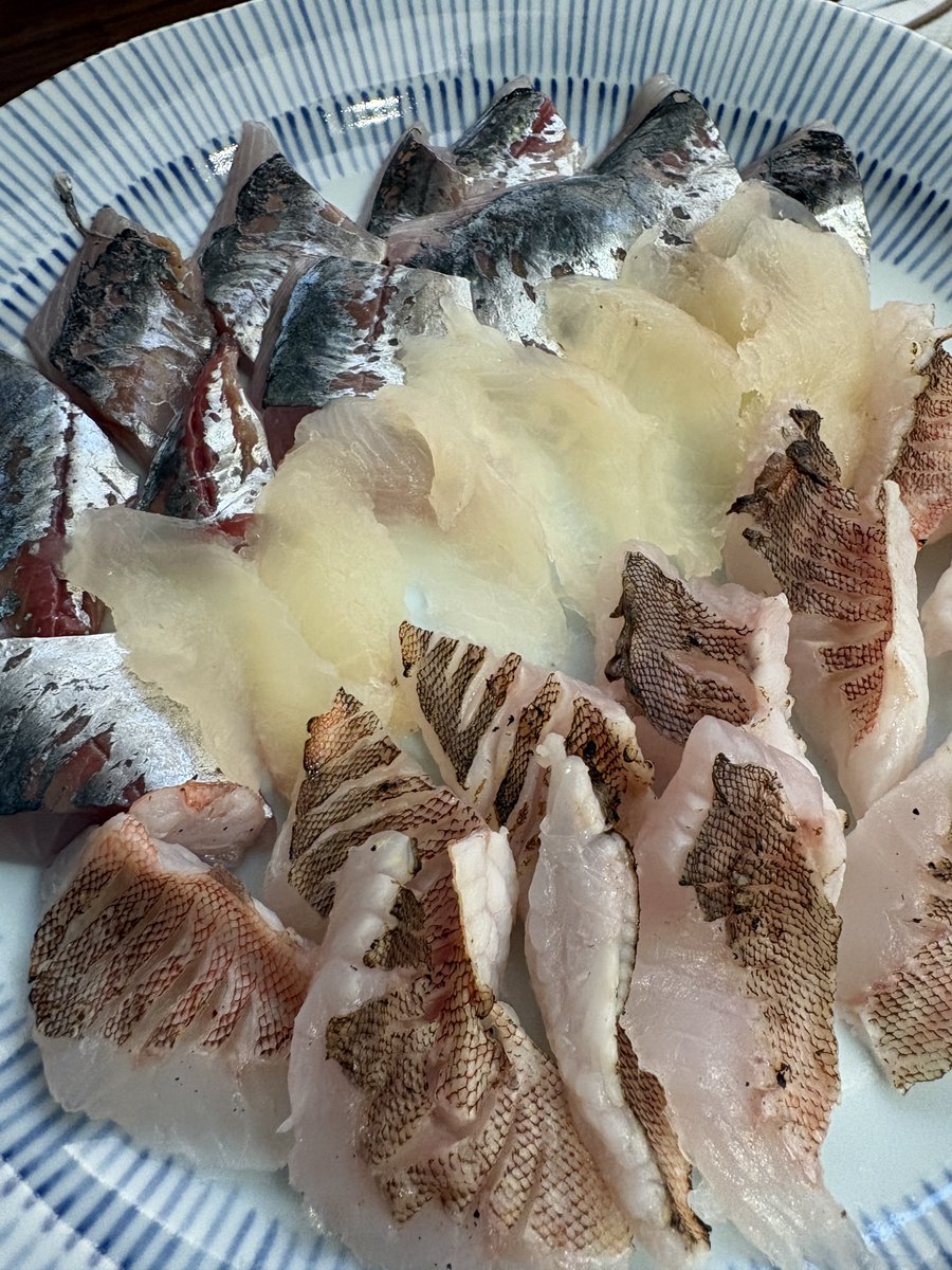 かずなり@漁tuber tweet media