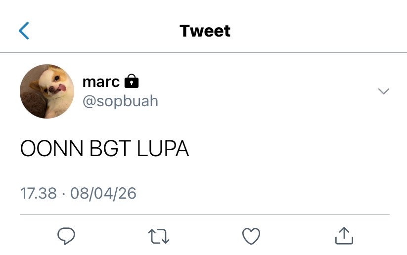 nda🪽(UPDATE) tweet media