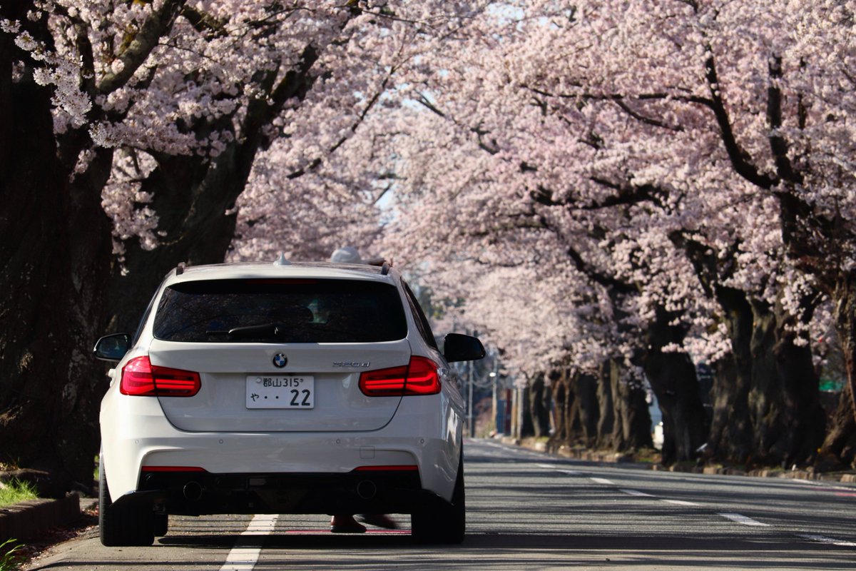 EG6_EG5_EG4's tweet photo. #BMW #3series #F31 #320D https://t.co/Ab1NUVJ5SY