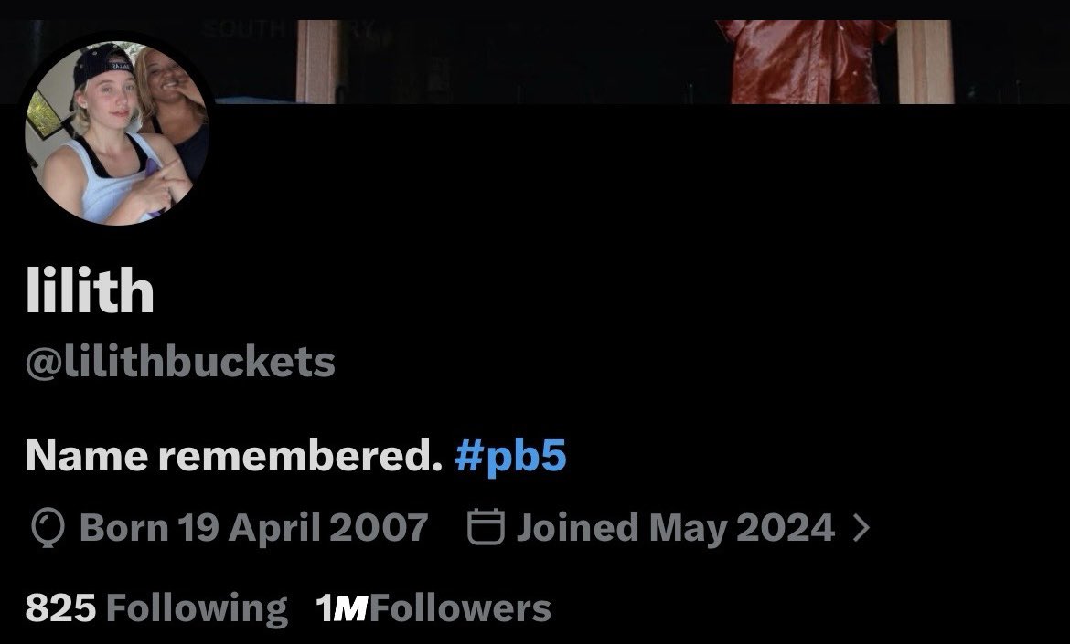 lilith tweet media
