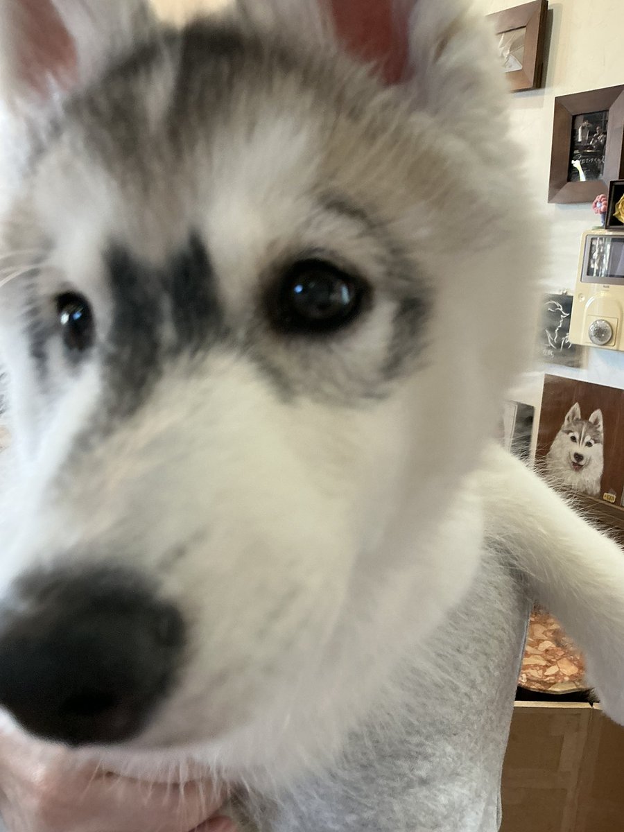 kusunose aki tweet media