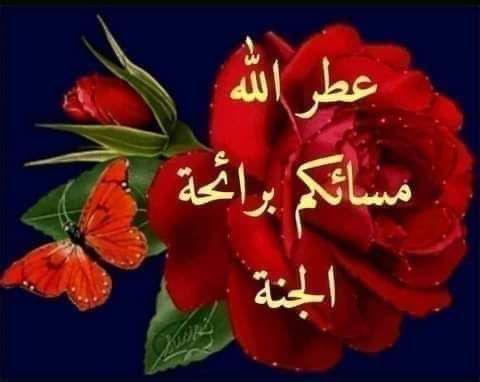 💔 انين الروح 💔 tweet media