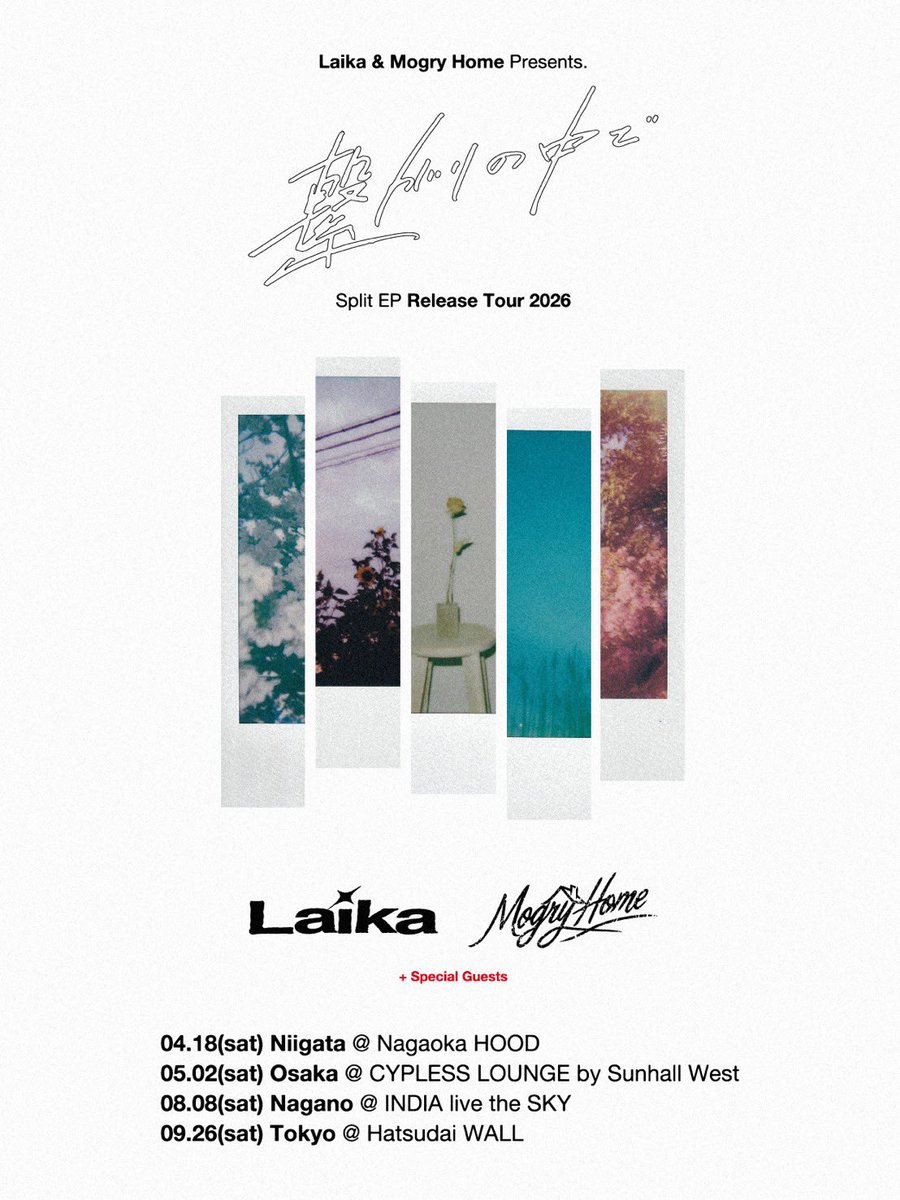 MogryHome's tweet photo. ◤ 𝙎𝙥𝙡𝙞𝙩 𝙀𝙋 𝙍𝙚𝙡𝙚𝙖𝙨𝙚 𝙏𝙤𝙪𝙧  ◢

Laikaと共にSplit EP『繋がりの中で』を持って全4か所を回ります！
各地のライブハウスで会いましょう！ https://t.co/I5XIWq5JM1