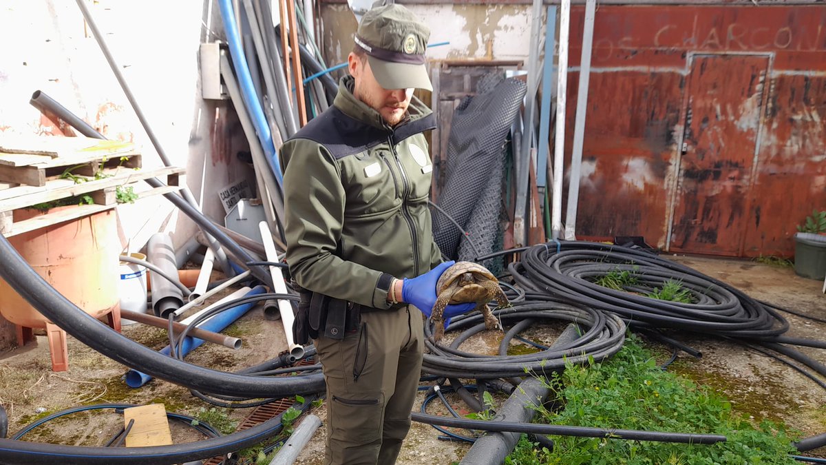 Agentes Medioambientales de Andalucía tweet media