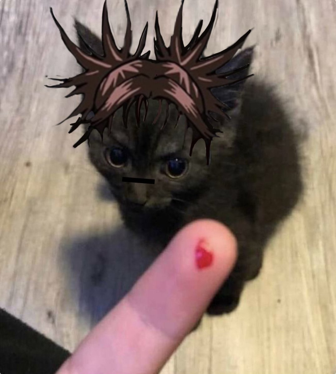 shifa misses choso tweet media