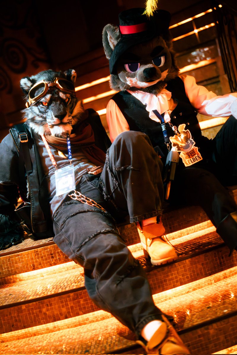 토르갈 tweet media