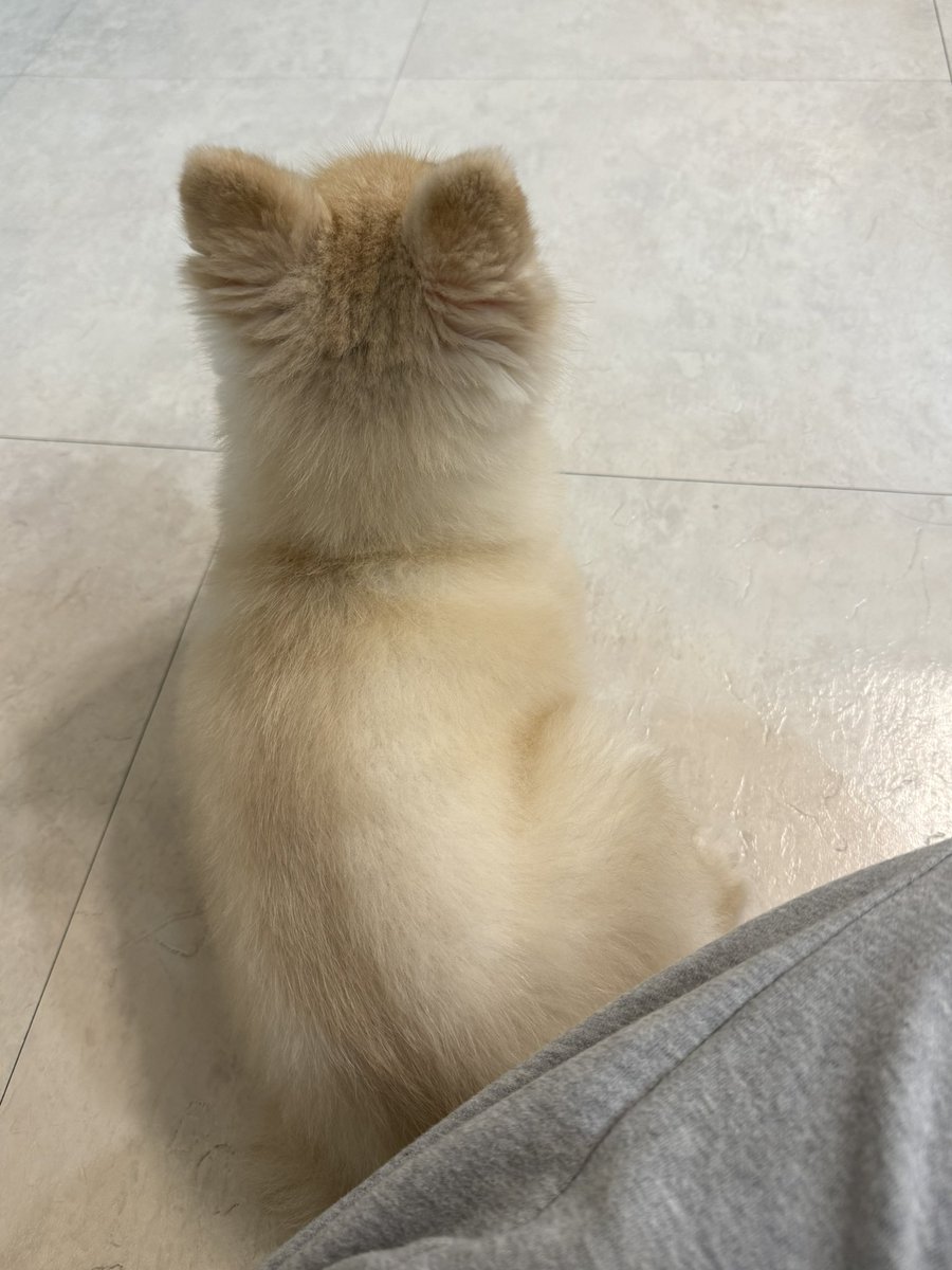 소사희 tweet media