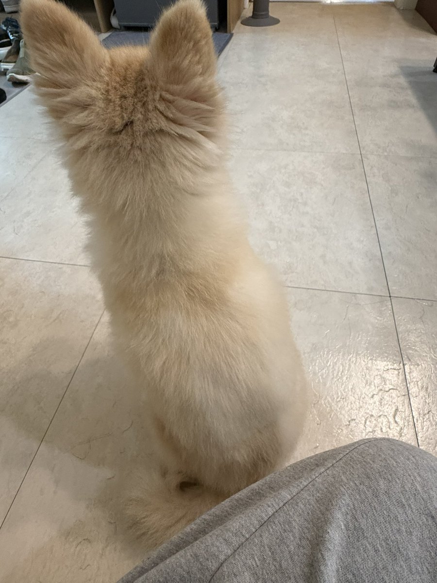 소사희 tweet media