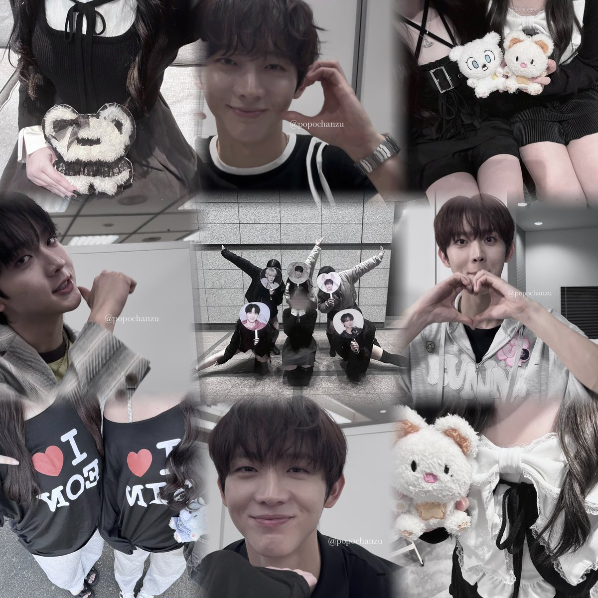 ぽぽちゃん tweet media