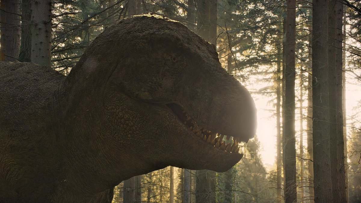 johann122004's tweet image. #TheDinosaurs #LifeOnOurPlanet

Something noticeable to point out is that some of the fauna from Life on Our Planet have their designs changed for Netflix's The Dinosaurs.

Thread (1/?), because there is probably gonna be quite a lot to look out for.