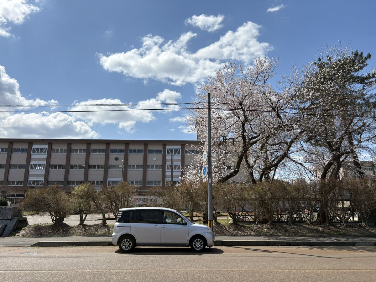 c_kuwa's tweet photo. 母校の櫻
#新潟県立長岡工業高等学校
#長岡 https://t.co/n3gvz9QtqA