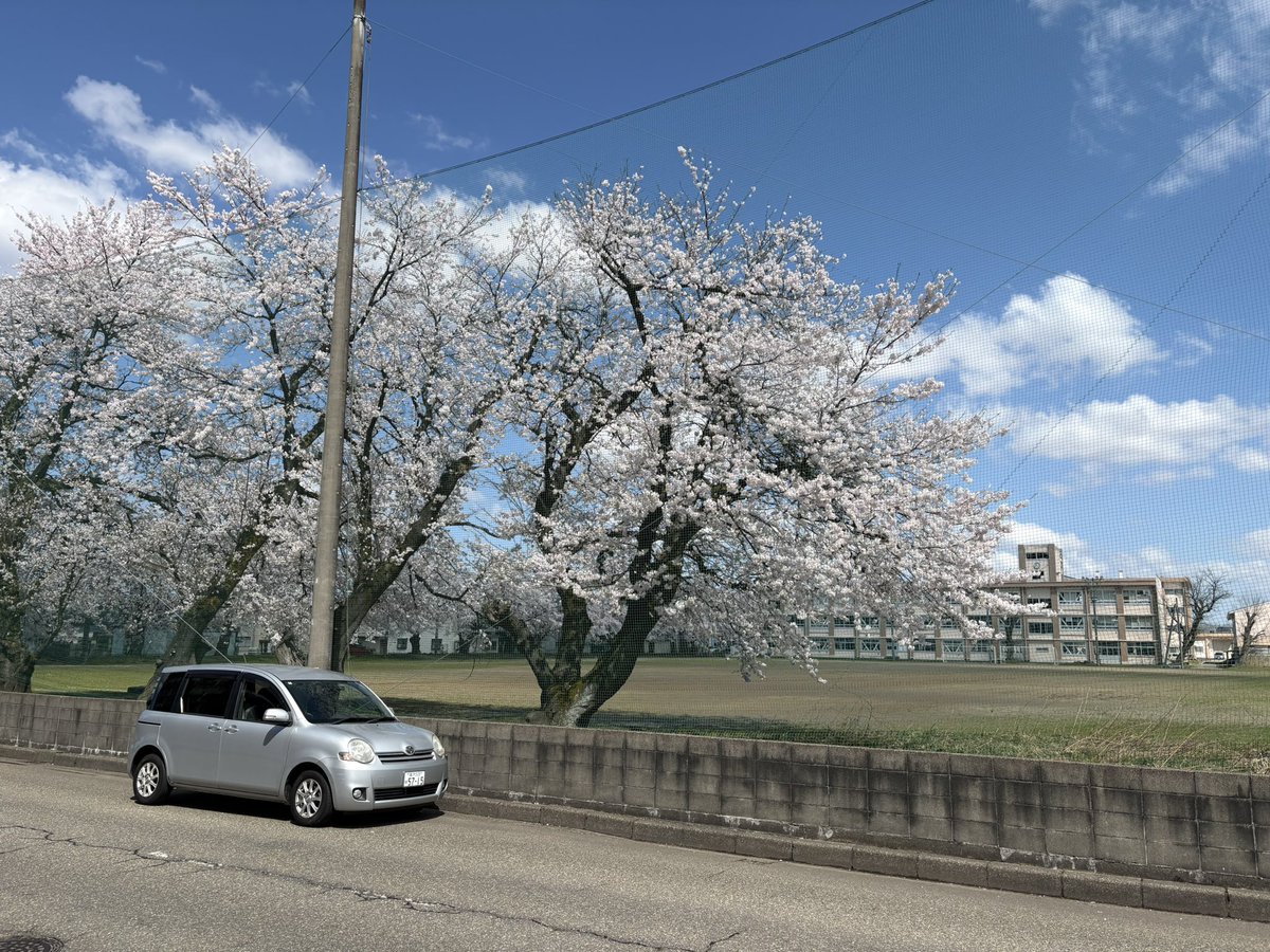 c_kuwa's tweet photo. 母校の櫻
#新潟県立長岡工業高等学校
#長岡 https://t.co/n3gvz9QtqA