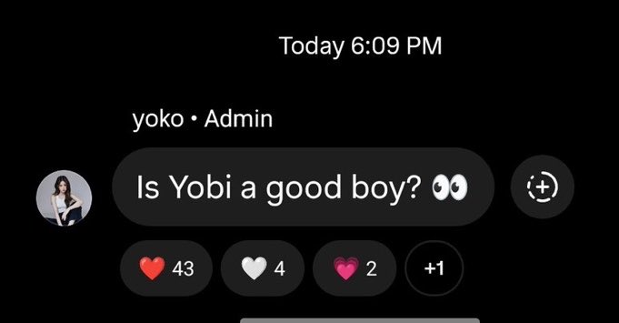 FanatiqueGirl tweet media