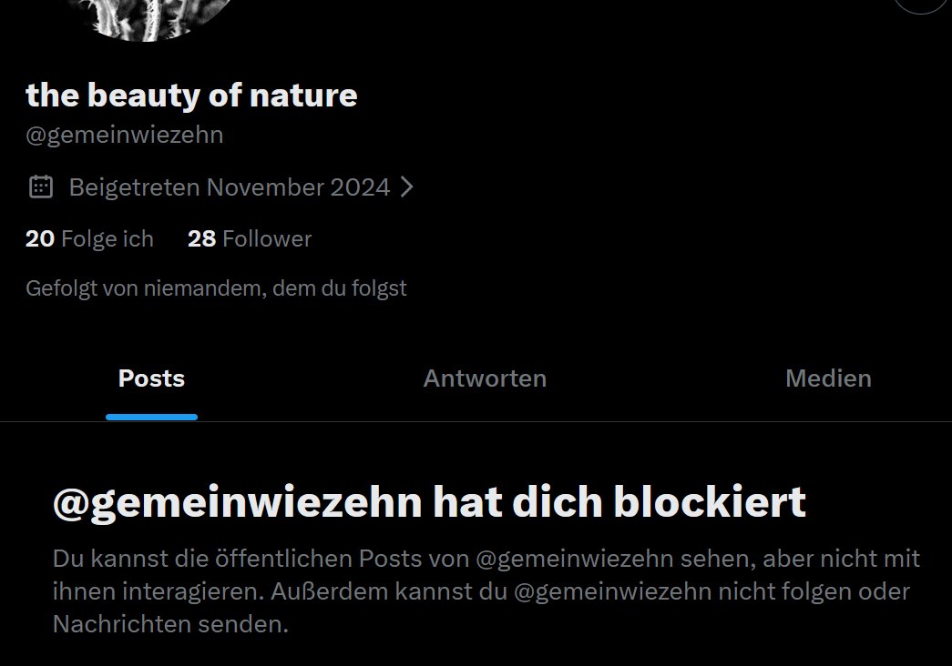 PusteblumeOnTour tweet media