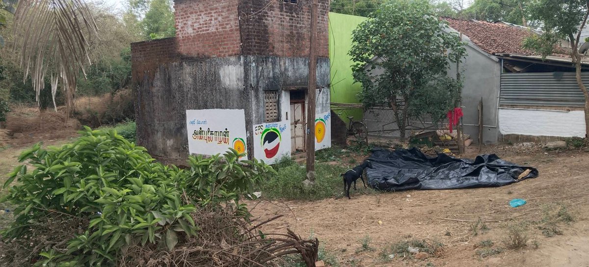 PMKCuddaloreDt's tweet photo. காட்டுமன்னார்கோயில் சட்டமன்றத் தொகுதி ��ுமராட்சி கிழக்கு ஒன்றியம் நந்திமங்கலம் கிராமத்தில் சகோதர சமுதாயம் இருக்கும் இடத்தில் நமது சின்னம் மாம்பழம் சின்னம் வரையப்பட்டது. https://t.co/ksS1g3JEhS