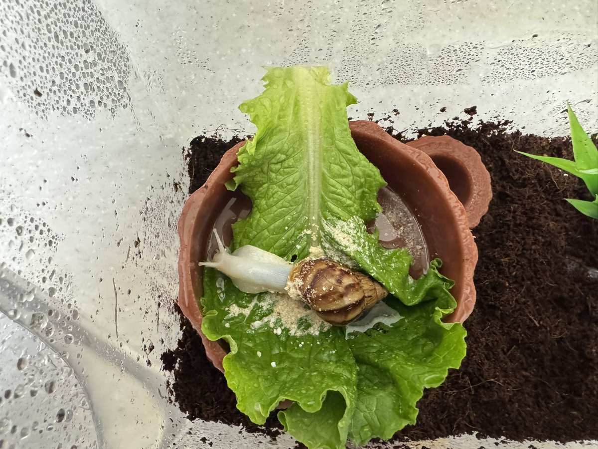 미틈달 초닷새🌱 tweet media