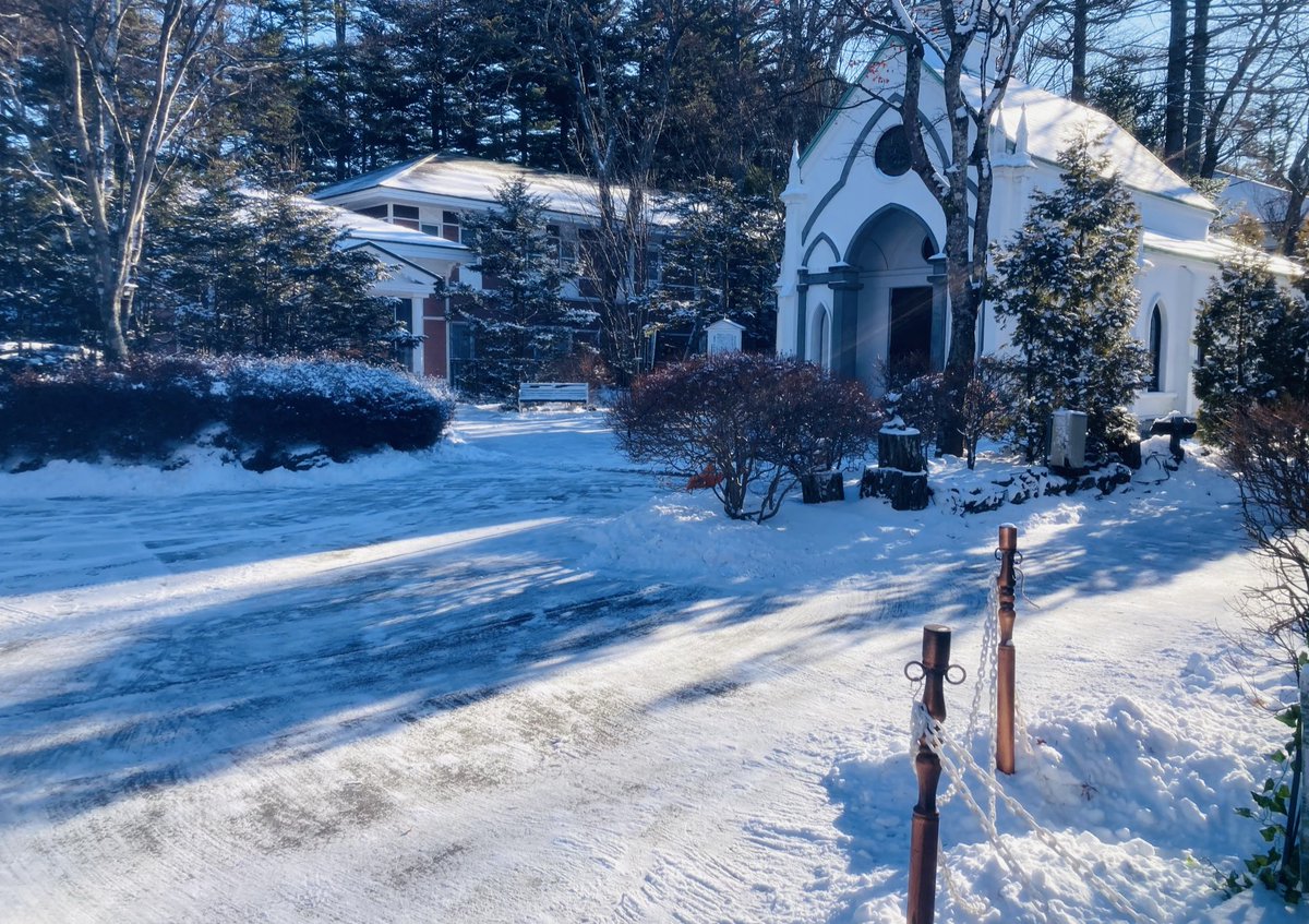 カメラロールを見返していたら、ほんの少しモネの《かささぎ》を思わせるような、雪の明暗がきれいな写真があった❄️

晴れの日の雪景色って、なぜか影が青くみえるんだなぁ。

#モネ展