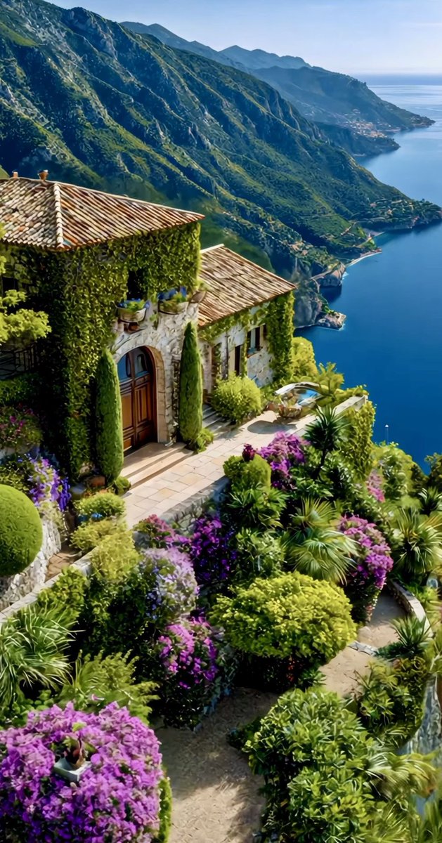 Lea 🌸🌿🕊️ tweet media