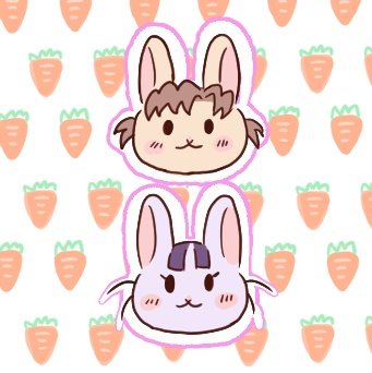 しぇるか tweet media