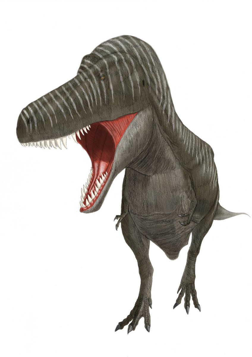 TKディノ tweet media