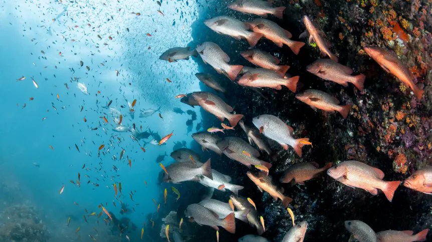 Science in Poland tweet media