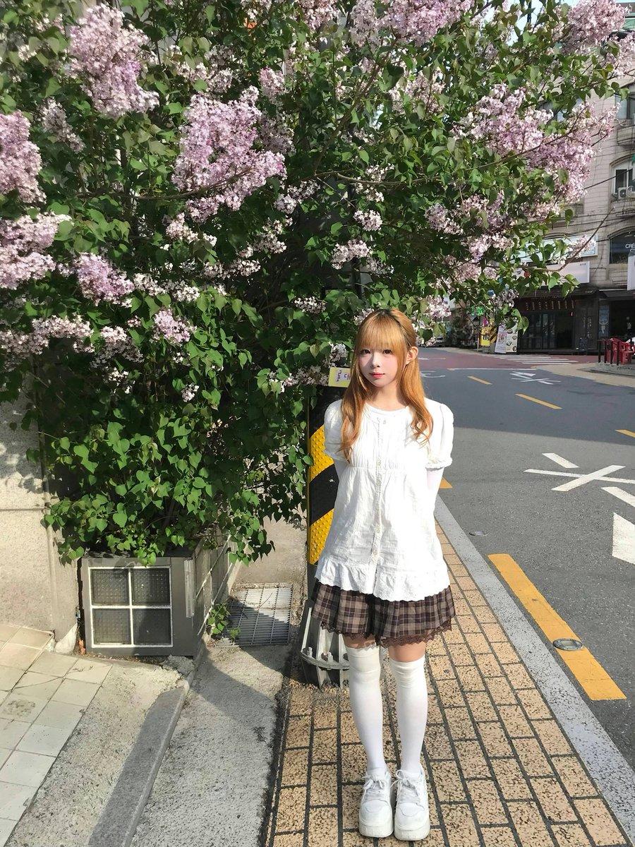 만두🐣 tweet media