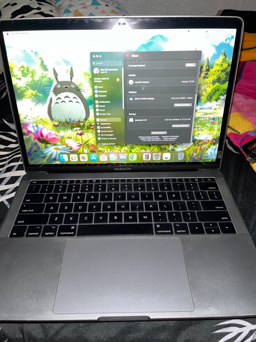 ca • JUNMIN🐾 | WTS Macbook Pro 2017 tweet media