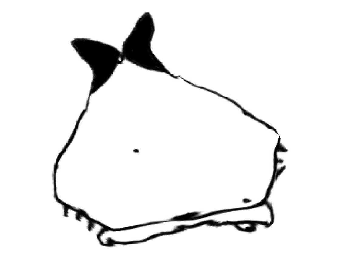 まぃも tweet media