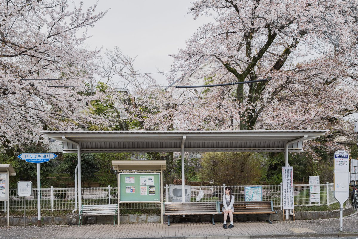 #水野七瀬 (<a href="/__12nanase/">水野七瀬 🎀</a>) さん

キミが来るのが待ち遠しい