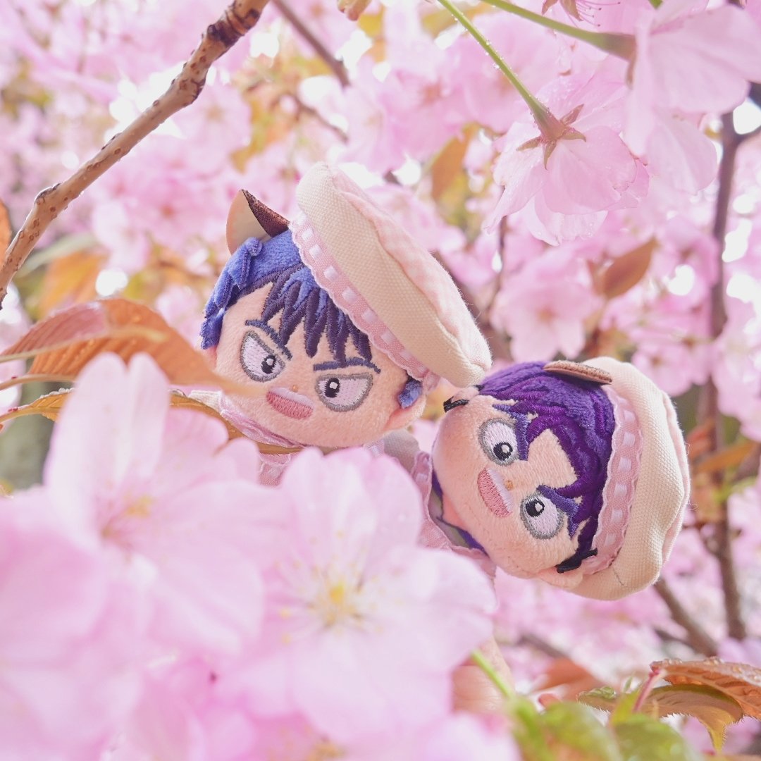 donabe5.5 tweet media