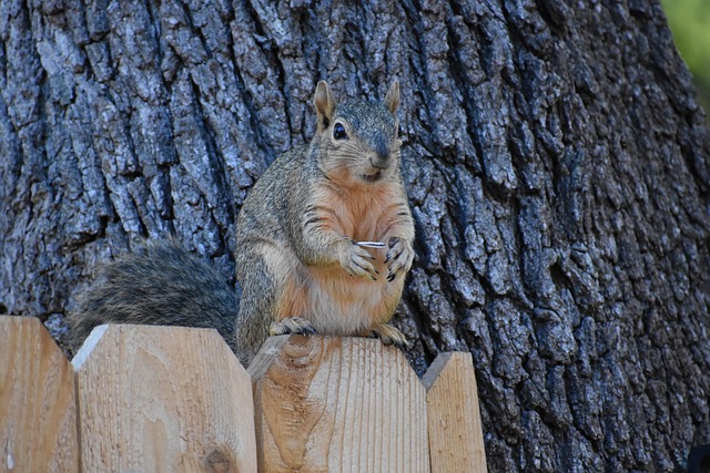 Jordan Baker tweet media