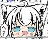 イカ〜 tweet media