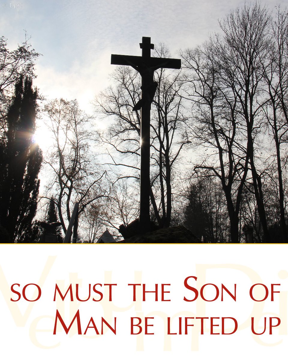 Gospel of the Day (John 3,7b-15)

Jesus said to Nicodemus: “'You must be born from above.'
The wind blows where it wills, and you can hear the sound it makes, but you do not know where it comes from or where it goes; so it is with everyone who is born of the Spirit."
Nicodemus