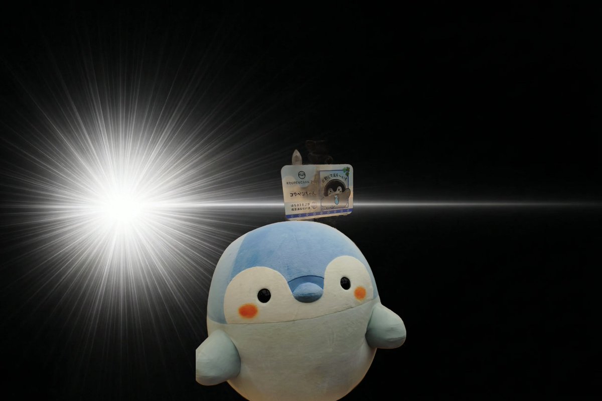 ひでブ〜 tweet media