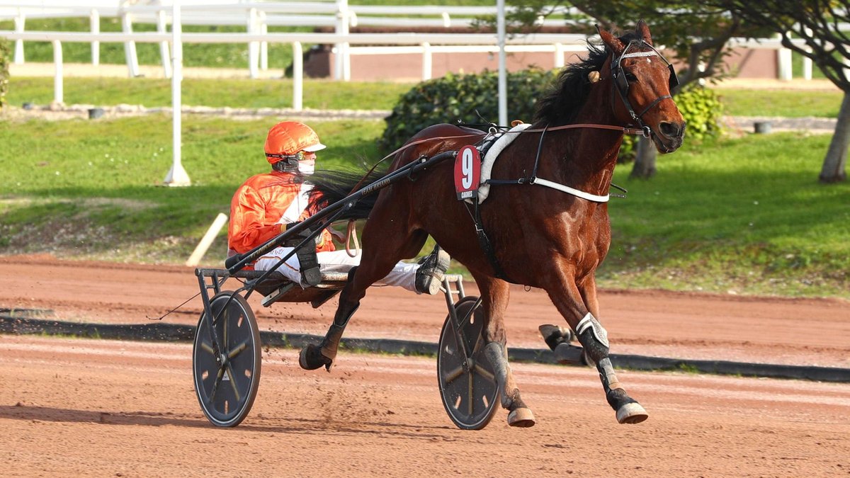MyeTurf's tweet photo. Direction Lyon-Parilly aujourd’hui ! 🏇

📩 Mon analyse est dispo
❤️ Like + 🔁 RT + 💬 commente et viens en DM

⏳ Accès limité, ne tarde pas 👀 https://t.co/Ua0FeWR70O