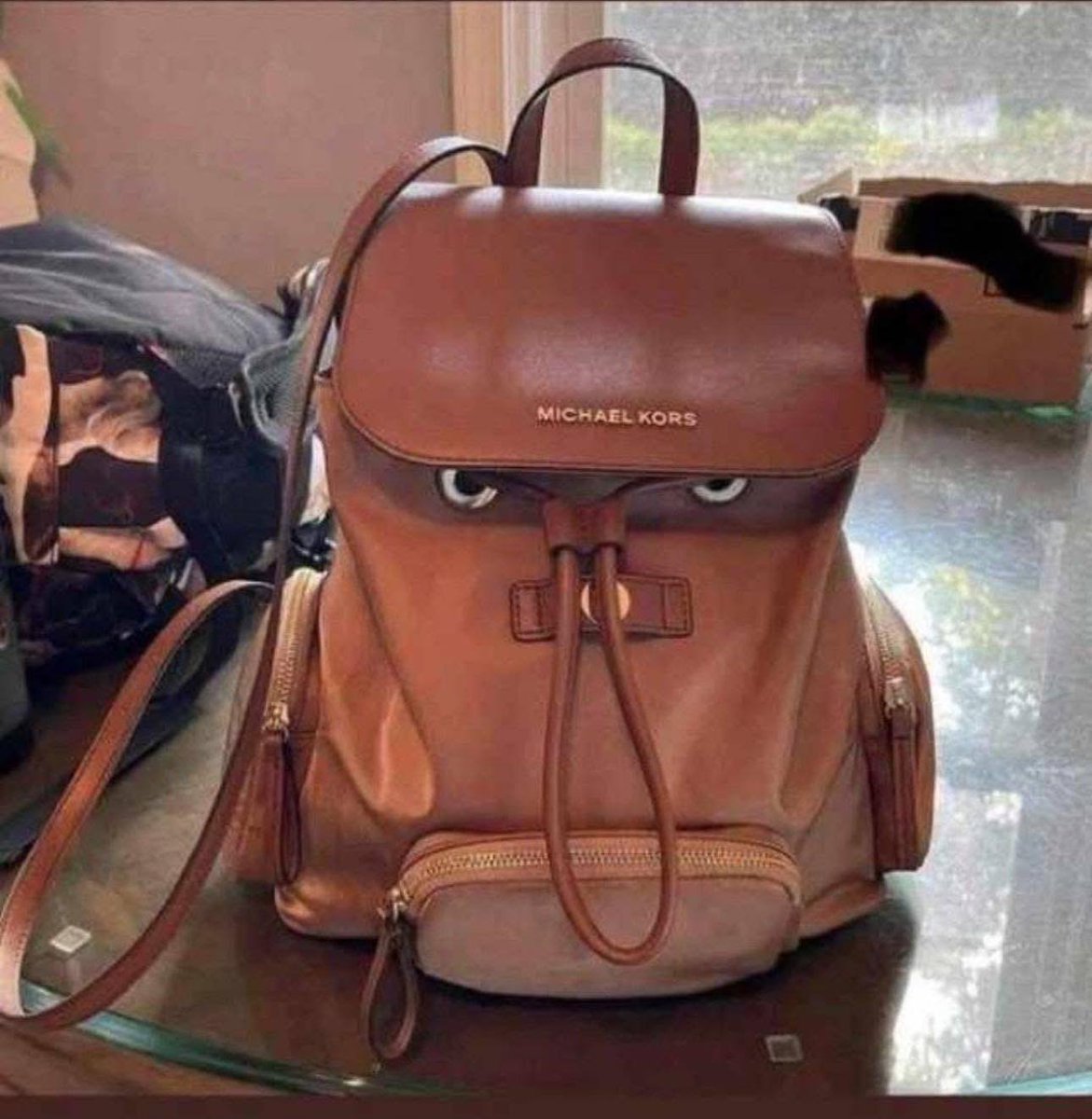 Ghoda8789's tweet image. Close your eyes slightly, which animal do you see?