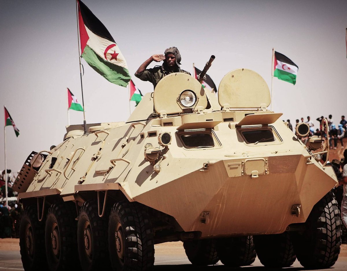 ECSaharaui tweet media