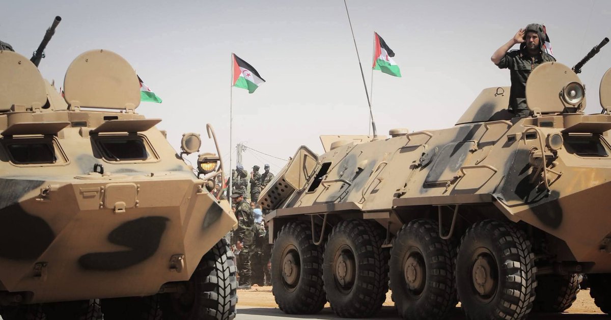 ECSaharaui tweet media