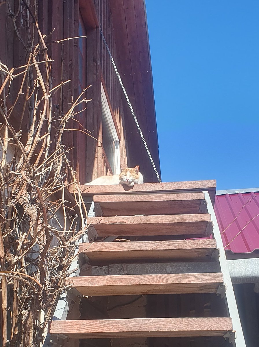 ☣︎ WILL !!!!!! ^_^ tweet media