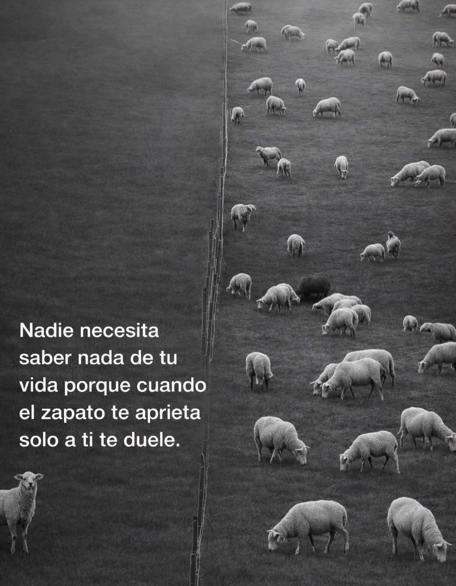 Disciplina tweet media