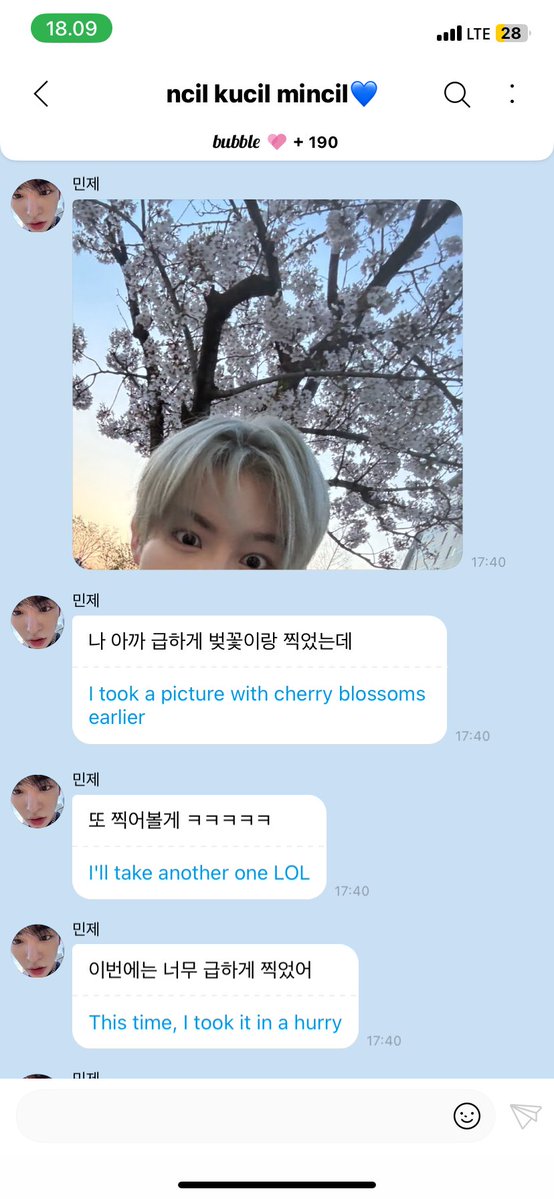 mincil 🐋🤎 tweet media