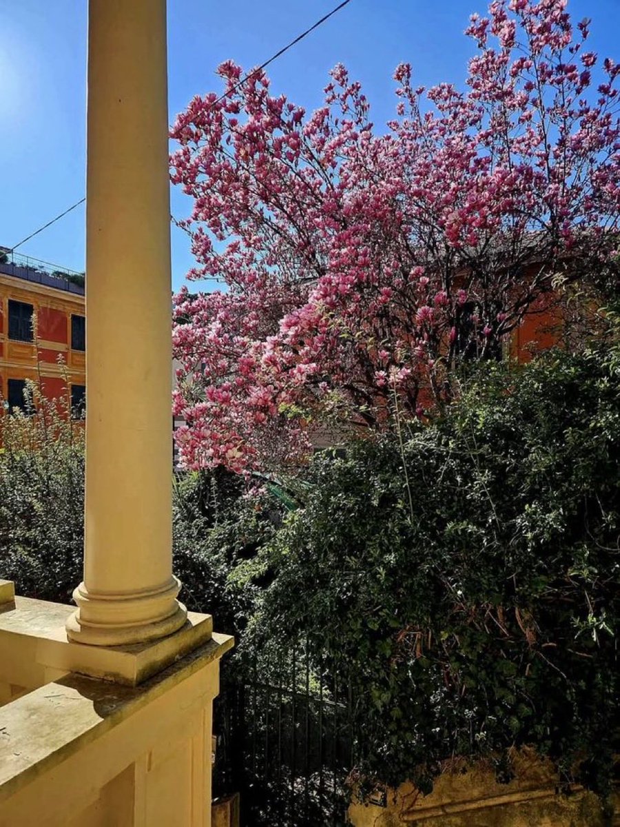 Alberto63Al's tweet photo. #AprileFestaVagabonda
Conosco una città
dove la primavera
arriva e se ne va…
#Rodari
#SalaLettura https://t.co/yKco4SP5Uc