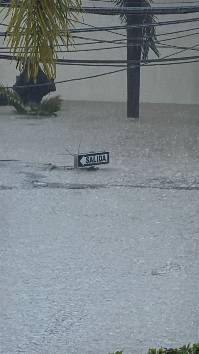 Luis M. Vílchez tweet media