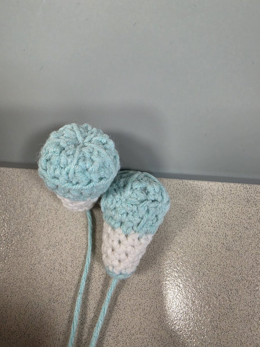 댕댕월드 tweet media