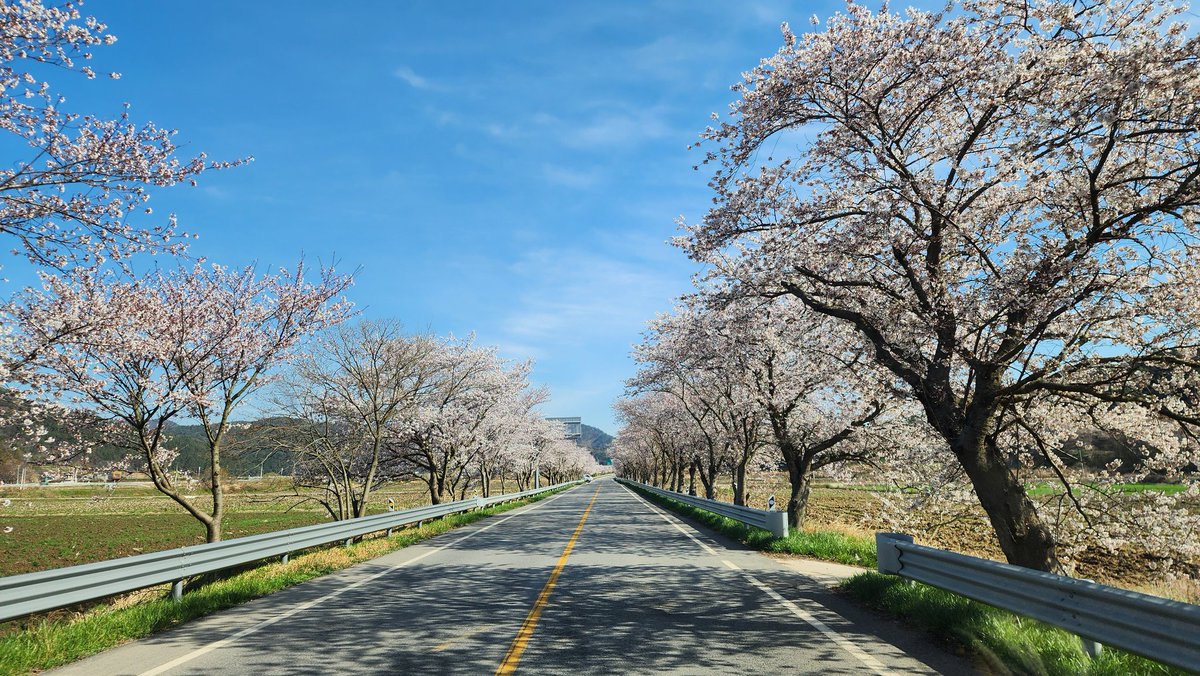 🎗🐬淵畵公🐬🎗 tweet media