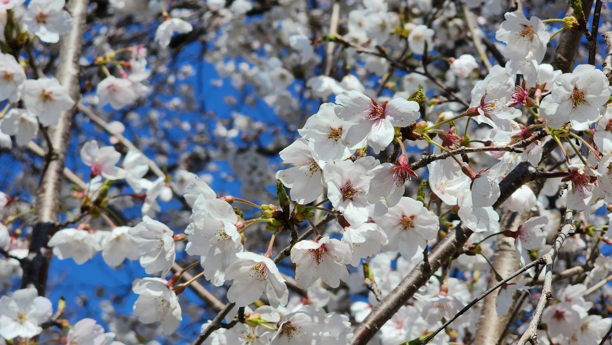 🎗🐬淵畵公🐬🎗 tweet media