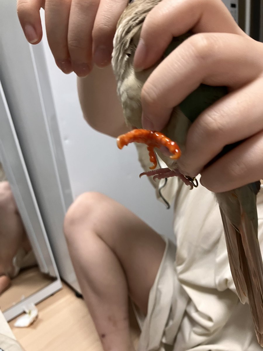 연두해요~ tweet media