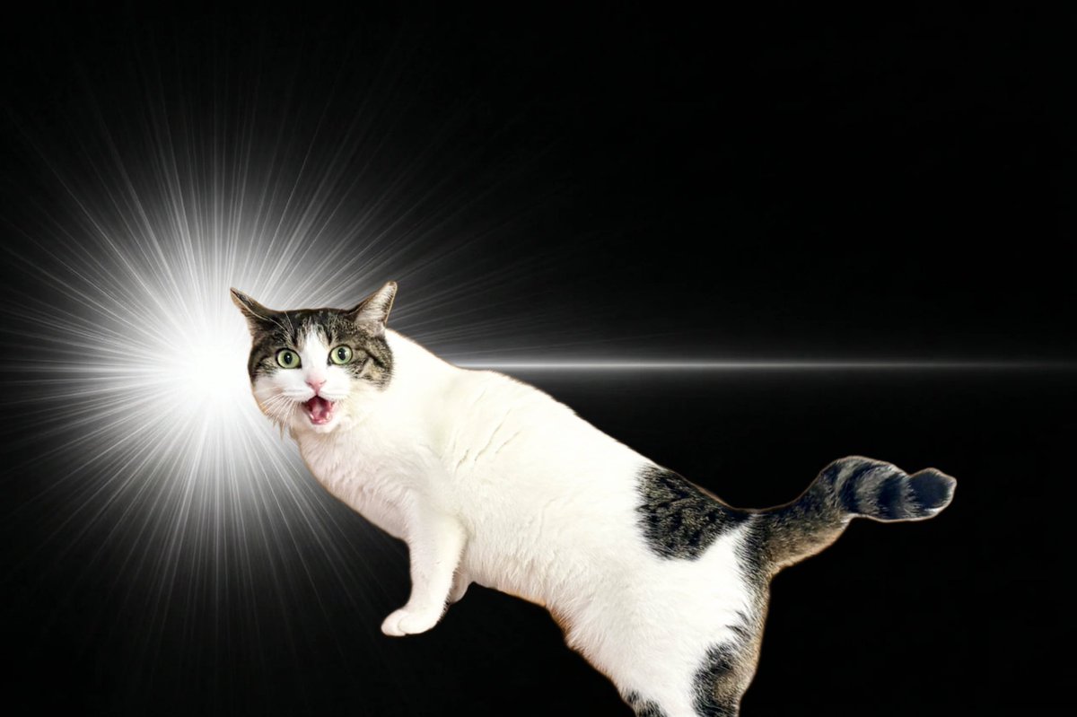 かとみ tweet media